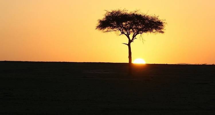 Four Day Tanzania Express Safari - Jeep Safaris and Tours 3