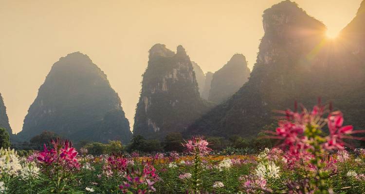 Champ de fleurs sauvages avec des pics karstiques et des rayons de soleil chaud perçant la brume matinale