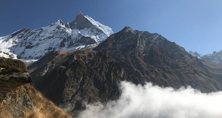 Sommets de montagnes enneigés s'élevant au-dessus des nuages sous un ciel dégagé.