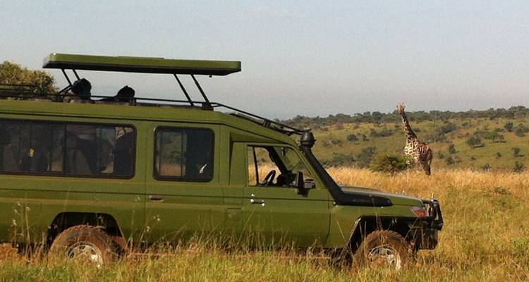 Safari dans le parc national de l'Akagera - 2 jours - Kawira Safaris Ltd 7