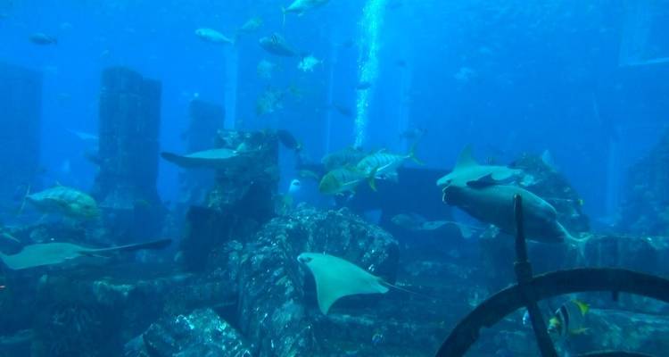 Voyage éblouissant à Dubaï - Culture Holidays Private Limited 7