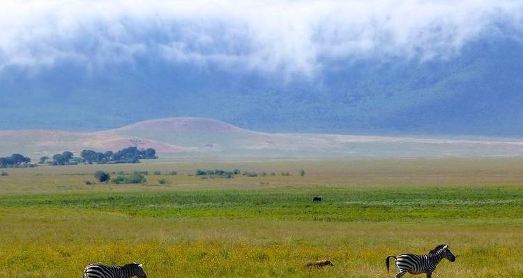 Safari de 5 jours en Tanzanie - Hébergement dans le Serengeti - Afrishare Trekking And Safaris 10