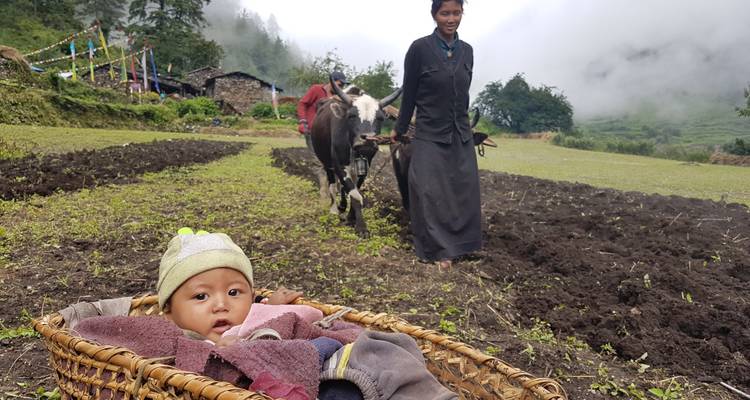 Excursionismo por el circuito del Manaslu - Travel Max Guide 1