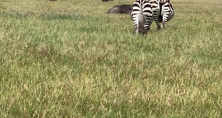 Safari de 3 días con alojamiento - Tarangire lago Manyara y cráter del Ngorongoro - Afrishare Trekking And Safaris 7