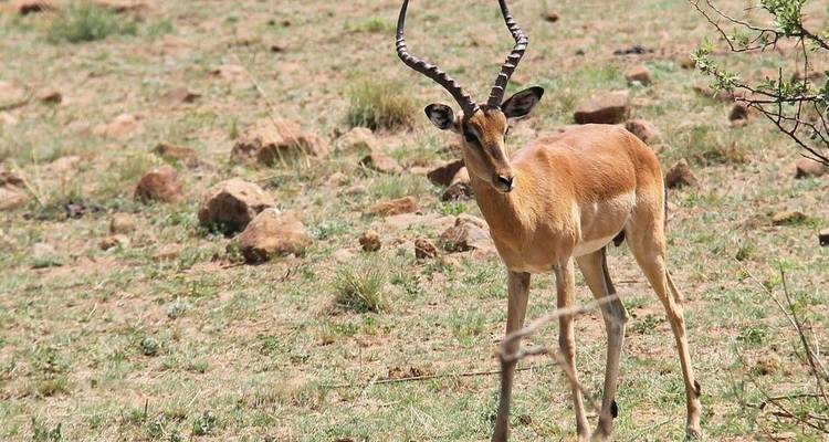 Safari de campamento de 3 días con los 5 grandes - Afrishare Trekking And Safaris 8