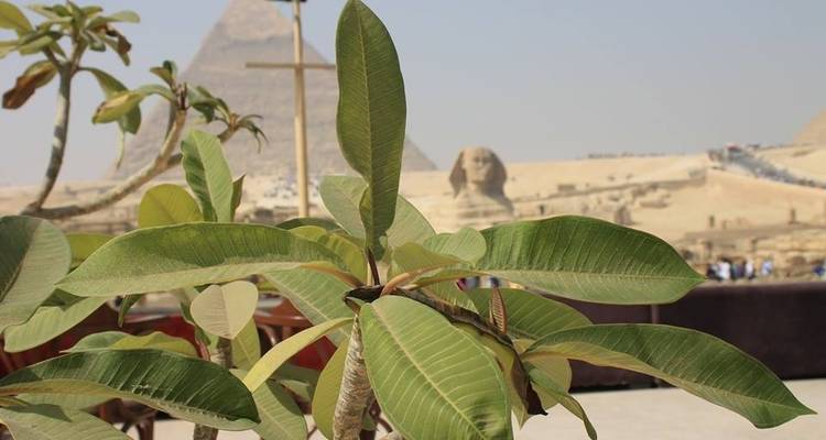 5 Days Pyramids and El baharia Oasis - Ancient Egypt Tours 10