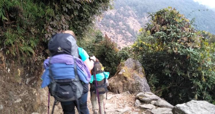 Ghorepani Poon Hill Trekking - Himalayan Trekking Path P.Ltd 4