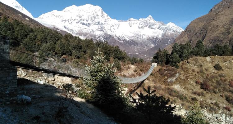 Hangbrug met besneeuwde bergen als achtergrond.