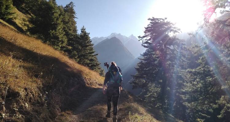 Wandelaar die richting de bergen loopt in een bosrijke regio.