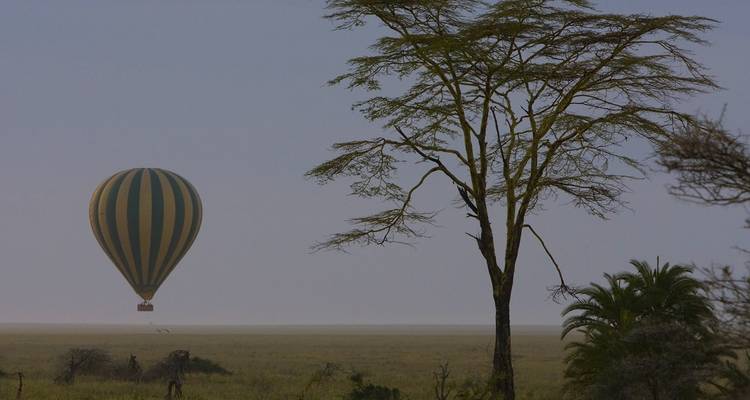 Group Joining Serengeti Migration Safari - Katikati Tours and Safaris 4