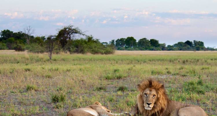 Lets Go Serengeti Safari - Katikati Tours and Safaris 9