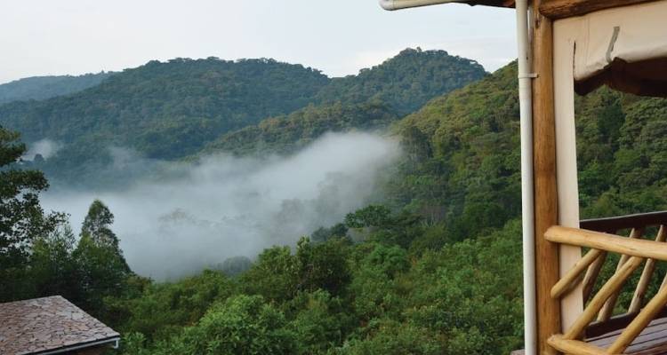 4 jours de safari en voiture et d'aventure avec les gorilles. - Kawira Safaris Ltd 6