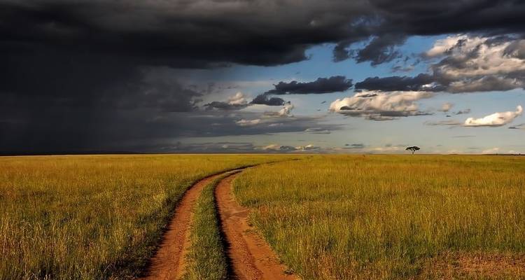 Safari de 4 días por Amboseli / Tsavo oeste y Tsavo este - Jeep Safaris and Tours 8