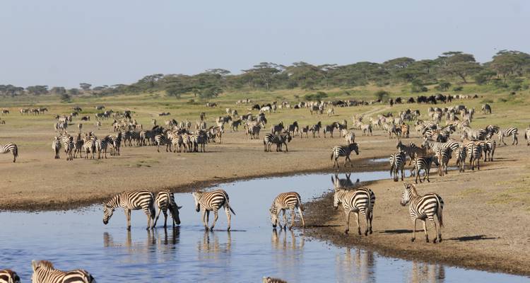 Safari de 4 días por Tanzania - Exodus African Safari 2
