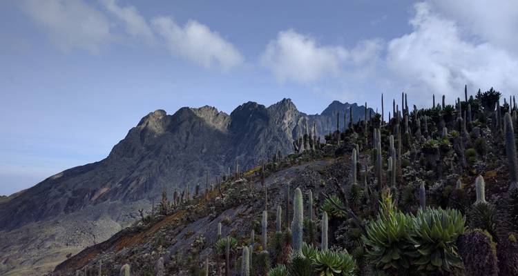 5 Days Rwenzoris Hiking Uganda - Enchanted Uganda Safaris Ltd  5
