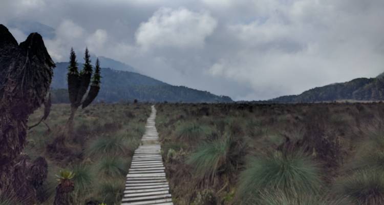 5 Days Rwenzoris Hiking Uganda - Enchanted Uganda Safaris Ltd  2