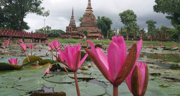 Thailand Culture & Heritage - 6 Days - LJ Biz 2