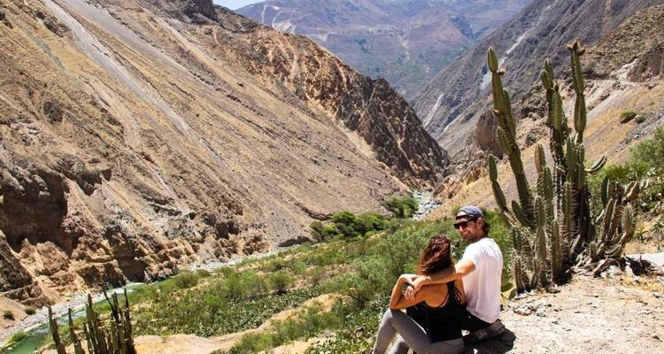 Deux personnes assises sur une crête surplombant un canyon avec des cactus au premier plan.