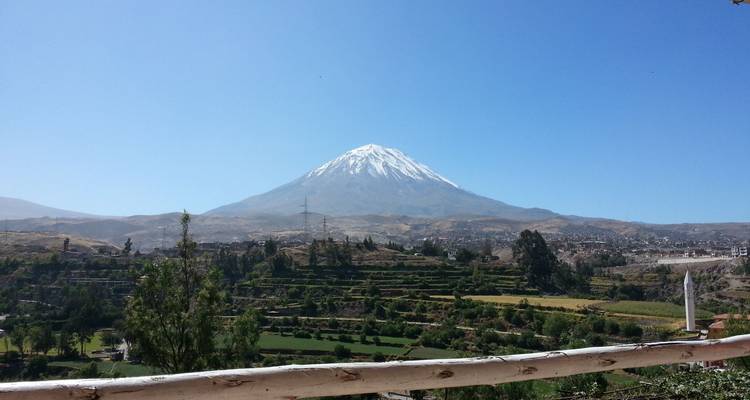 Vue panoramique d'une montagne enneigée avec des terrasses en contrebas.