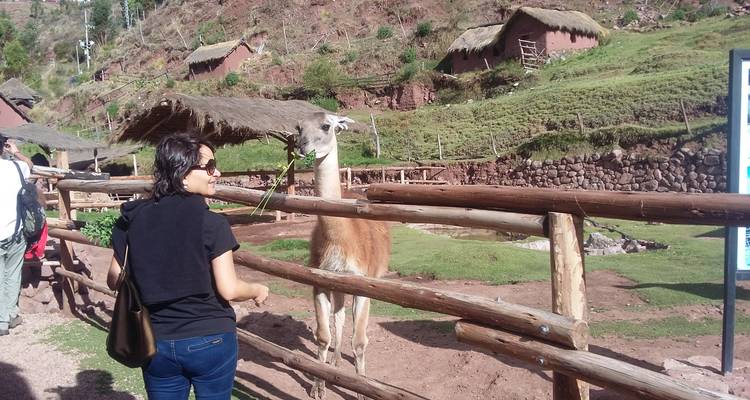 Private Full-Day Sacred Valley & Alpaca Farm Tour - PVTravels 10