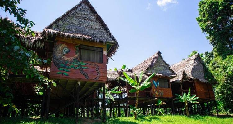 3 days Amazon Jungle tour with Pink Dolphin watch from Iquitos - PVTravels 10