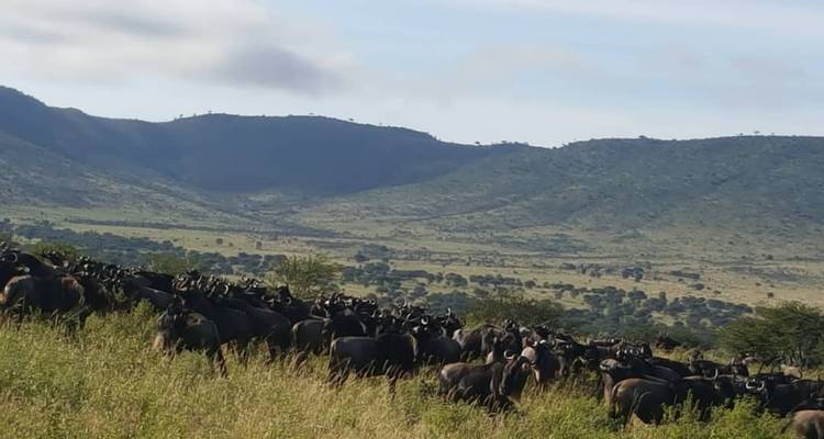 4 Days Mid Range Northern Safari Circuit - Gilmag Safaris  6