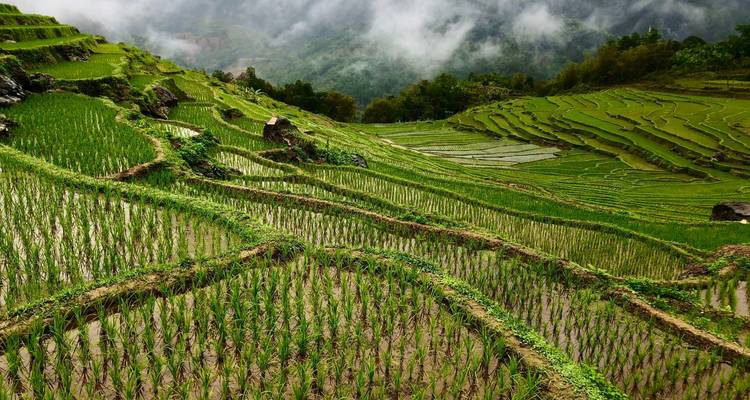 Pu Luong 3 jours - Chute d'eau de Hieu - l'expérience - Eco Travel Go Green Vietnam 3