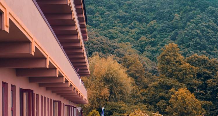 Shivapuri Peak Hike and Sleeping Buddha Sightseeing - a Day Tour - Oriental Journeys Pvt. Ltd. 4