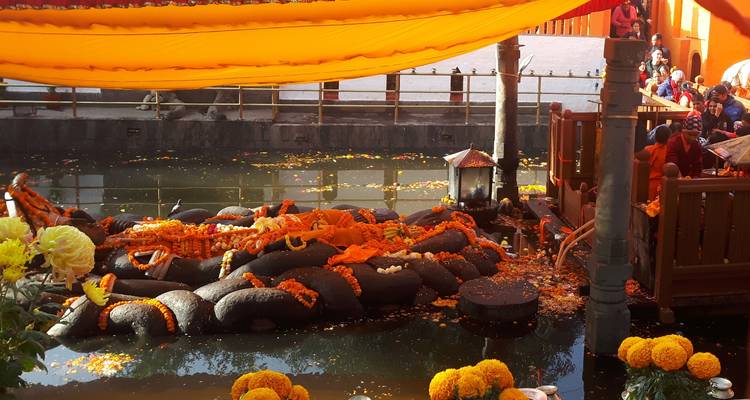 Shivapuri Peak Hike and Sleeping Buddha Sightseeing - a Day Tour - Oriental Journeys Pvt. Ltd. 3