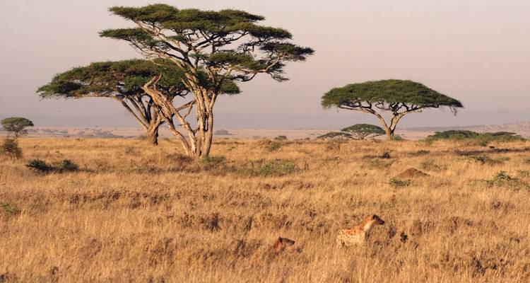 3 Days Tanzania Budget Camping Safari - Exodus African Safari 6