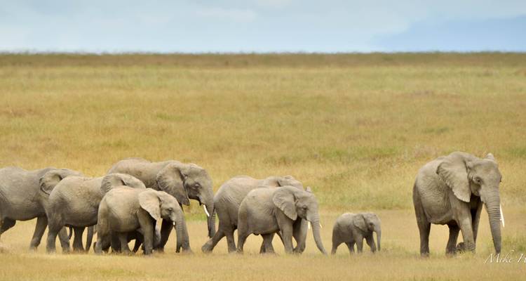 3 Days Tanzania Budget Camping Safari - Exodus African Safari 4
