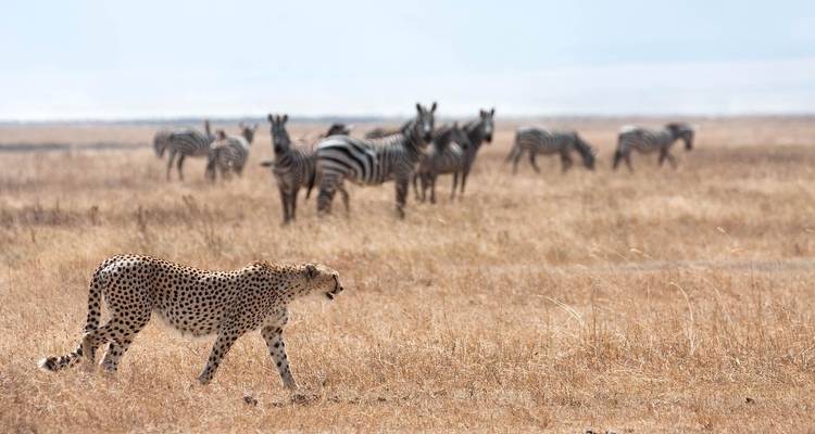 5 jours de safari en camping en Tanzanie - Exodus African Safari 3