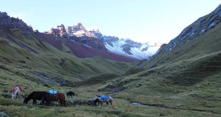 Excursión a Machu Picchu - 5 días /4 noches - Action Peru Treks 9