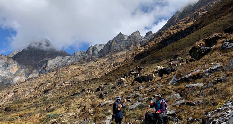 Excursión al muñeco de nieve - Bhutan Travelers 4