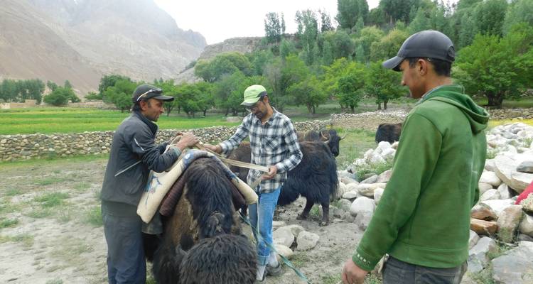 15 jours de safari à dos de yak au col de Shimshal - Rock Valley Tours Pvt Ltd 6