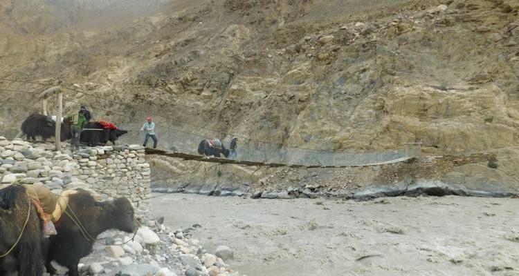 15 jours de safari à dos de yak au col de Shimshal - Rock Valley Tours Pvt Ltd 2