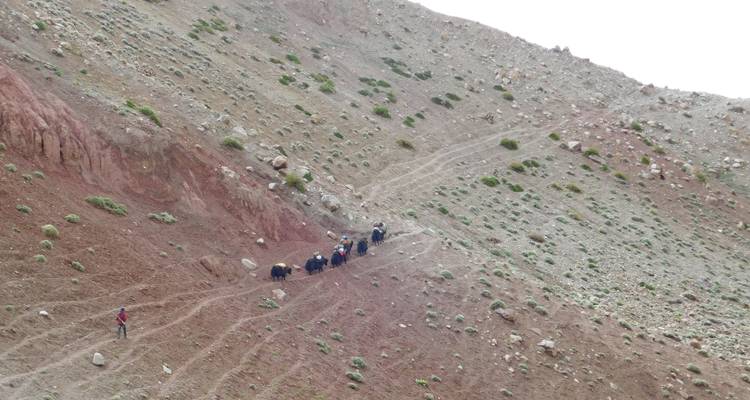 15 jours de safari à dos de yak au col de Shimshal - Rock Valley Tours Pvt Ltd 4