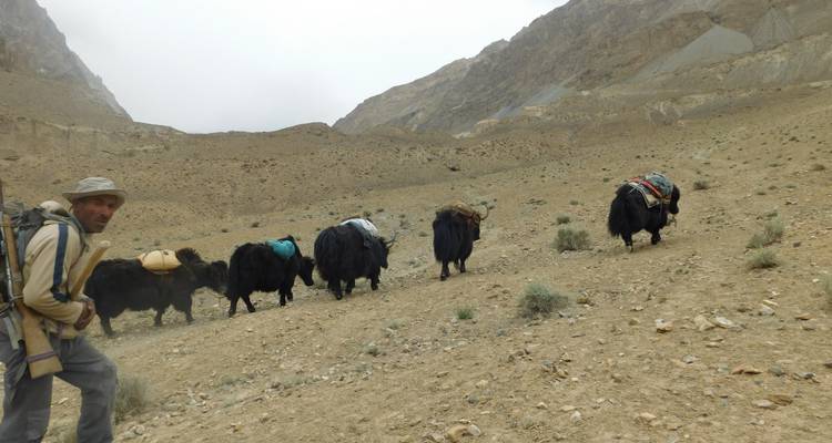 15 jours de safari à dos de yak au col de Shimshal - Rock Valley Tours Pvt Ltd 7