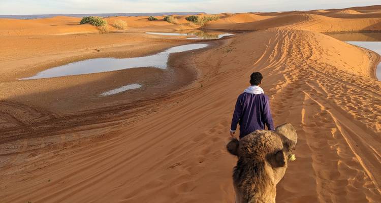 Person, die ein Kamel durch Sanddünen in einer Wüstenlandschaft führt.