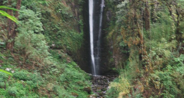 Image floue d'une cascade étroite entourée de verdure.