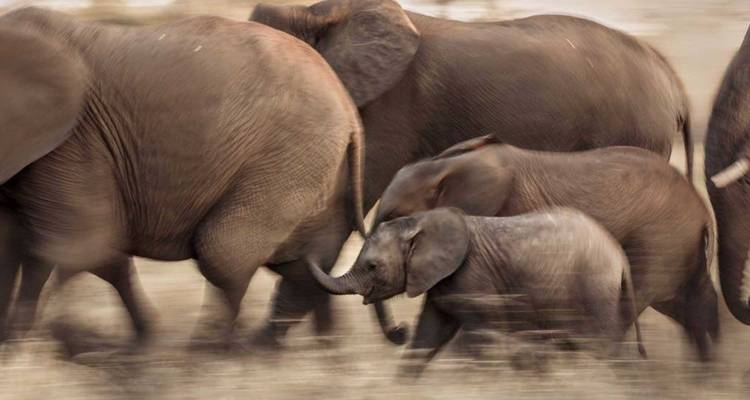 Safari en pareja por Tanzania - Katikati Tours and Safaris 10