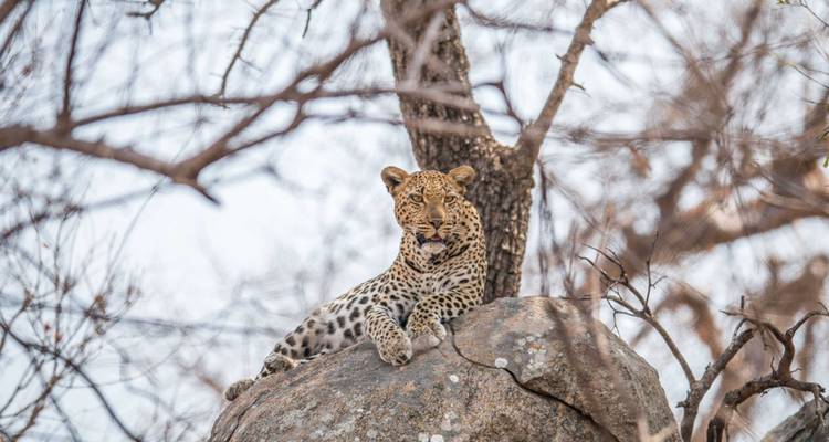 Safari en pareja por Tanzania - Katikati Tours and Safaris 7