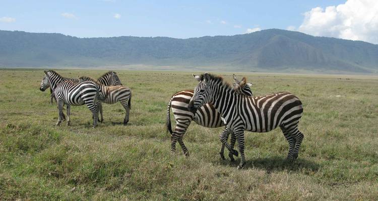 Safari en pareja por Tanzania - Katikati Tours and Safaris 3