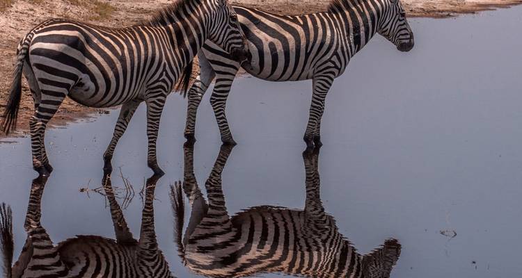 Safari en pareja por Tanzania - Katikati Tours and Safaris 9