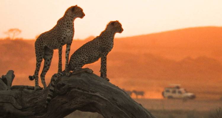 Safari en pareja por Tanzania - Katikati Tours and Safaris 2