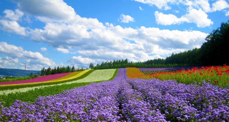 Vacaciones en el sur de Vietnam con Nha Trang y Dalat - Bravo Indochina Tours 1