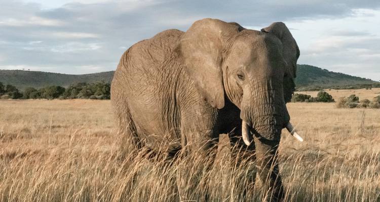 4 Days Tanzania Private Camping Safari - Exodus African Safari 7
