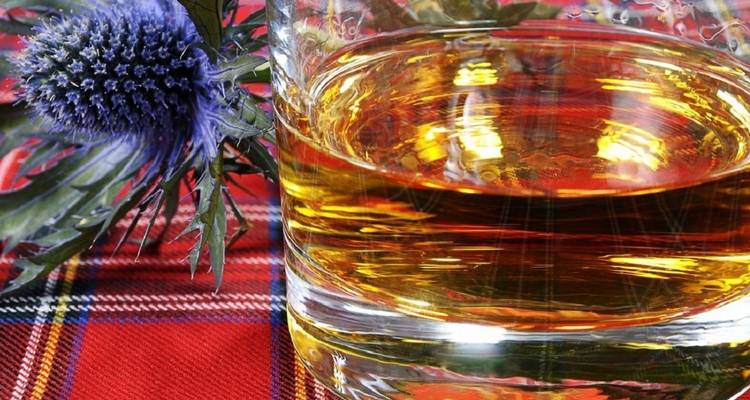 Glas Whisky auf einem Karostoff mit einer Distelblüte.