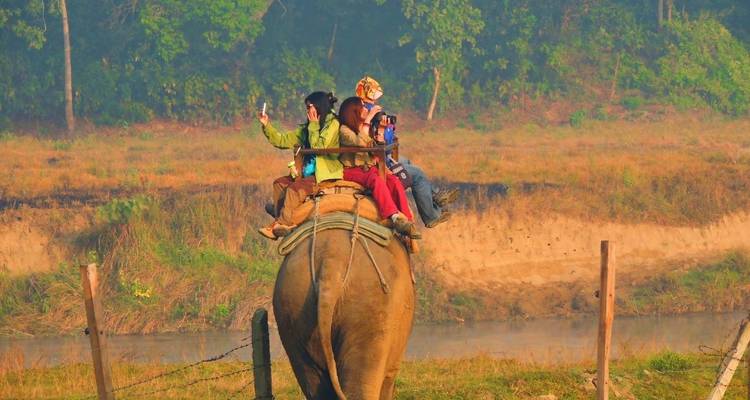 Groupe de personnes montant un éléphant dans un cadre naturel.