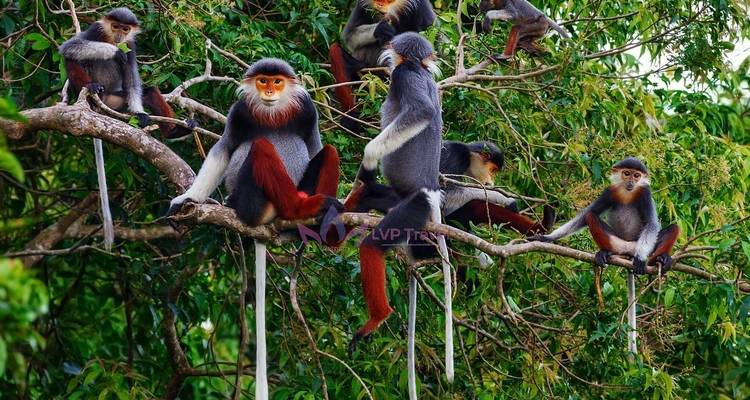 Circuito turístico clásico de Vietnam - 12 días - LVP Travel 2